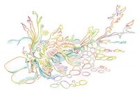 Colourful Seahorse